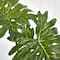 2.5ft. Philodendron Leaves in Cylinder Glass Vase